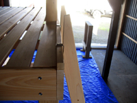 �΂߃n�V�S�̎�t�g��ʐ^