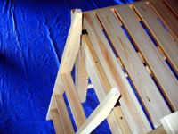 ���ƃn�V�S�̎捇���ʐ^